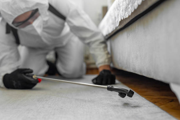 Professional Bed Bug Control technician working in Monticello, FL