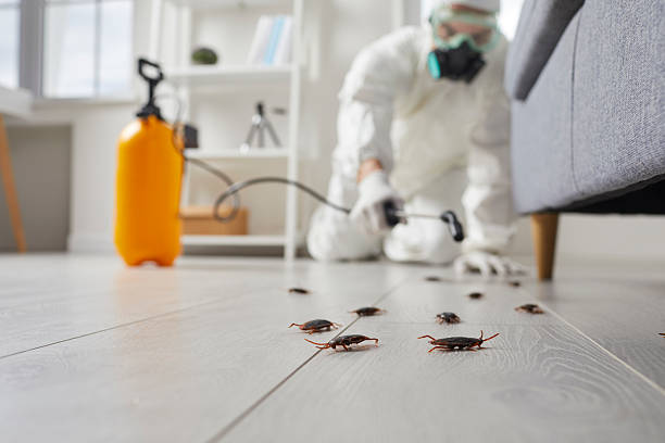 Trusted Cockroach Control service in Monticello, FL - Nex Pest Control